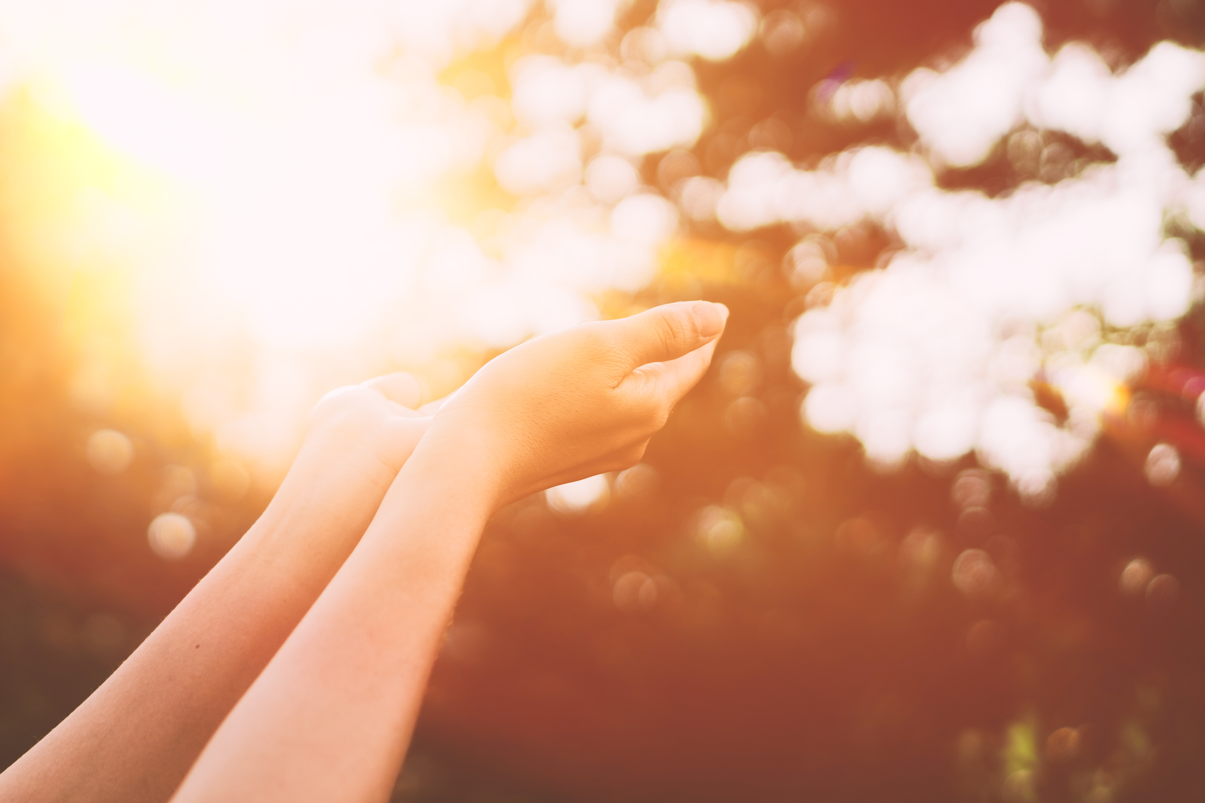Give In Giving Up vs Giving In – Chronically Intentional